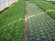 Агротекстиль Agrojutex 100г/м2 - 5.25x100м Агротекстиль Agrojutex 100г/м2 - 5.25x100м