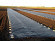 Агротекстиль Agrojutex 100г/м2 - 5.25x100м Агротекстиль Agrojutex 100г/м2 - 5.25x100м